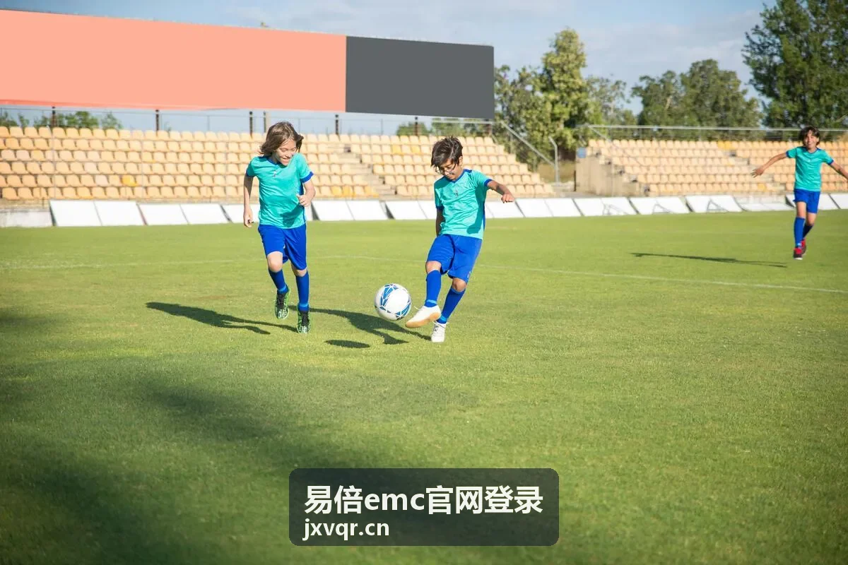 易倍emc官网登录官网登录入口服务背景