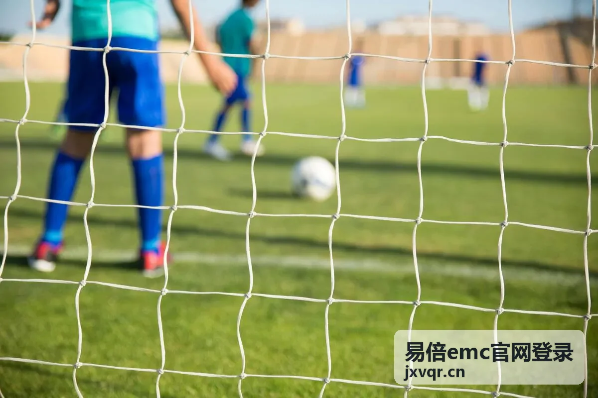 易倍emc官网登录账号安全中心设备与会话管理